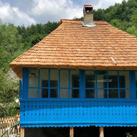 Băile Olăneşti Casa Albastraヴィラ エクステリア 写真