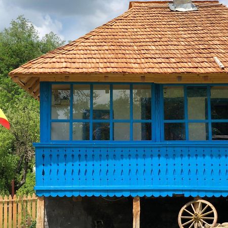Băile Olăneşti Casa Albastraヴィラ エクステリア 写真