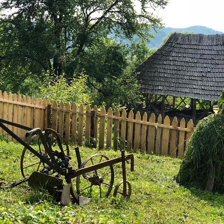 Băile Olăneşti Casa Albastraヴィラ エクステリア 写真