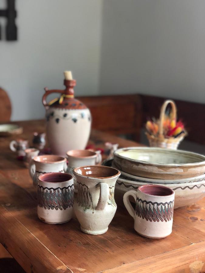 Băile Olăneşti Casa Albastraヴィラ エクステリア 写真