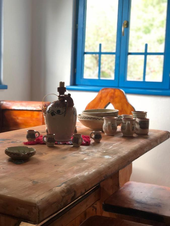 Băile Olăneşti Casa Albastraヴィラ エクステリア 写真