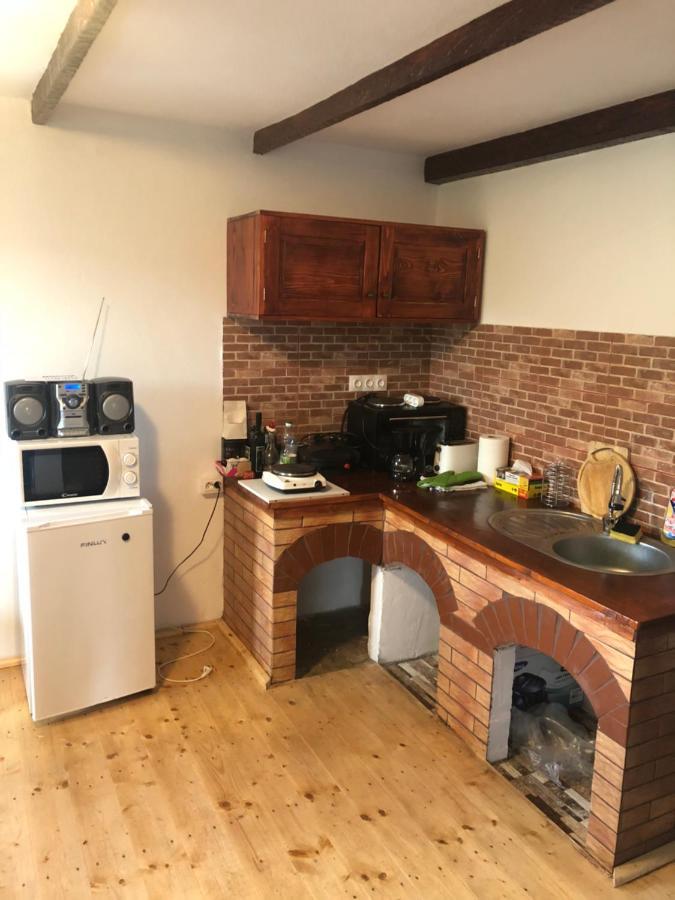 Băile Olăneşti Casa Albastraヴィラ エクステリア 写真