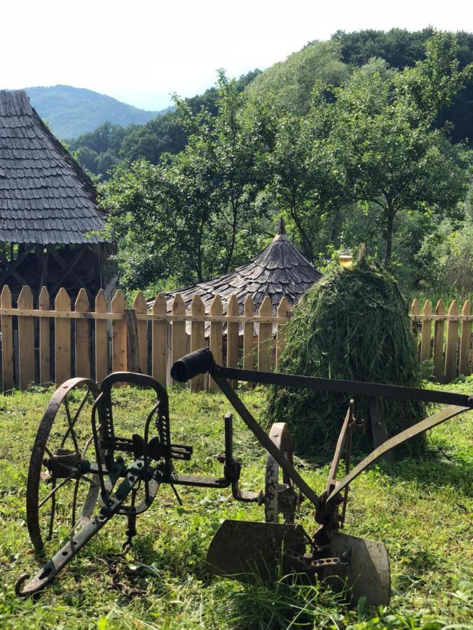 Băile Olăneşti Casa Albastraヴィラ エクステリア 写真