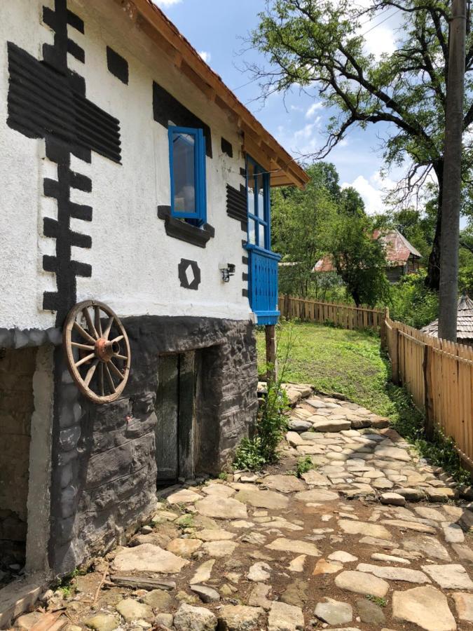 Băile Olăneşti Casa Albastraヴィラ エクステリア 写真