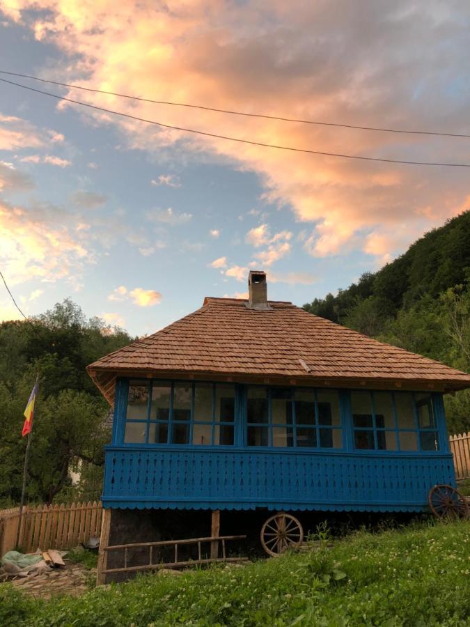 Băile Olăneşti Casa Albastraヴィラ エクステリア 写真