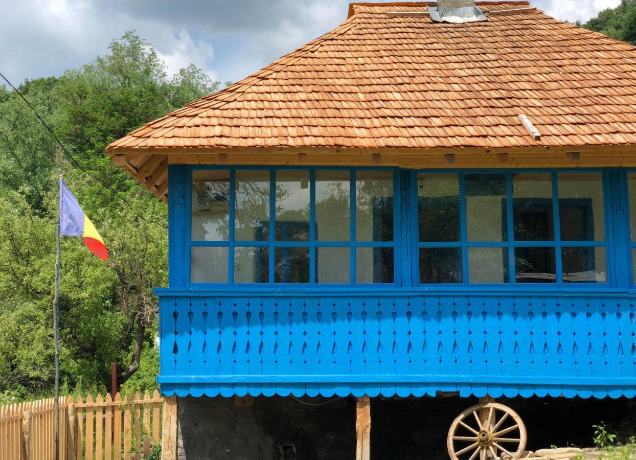 Băile Olăneşti Casa Albastraヴィラ エクステリア 写真