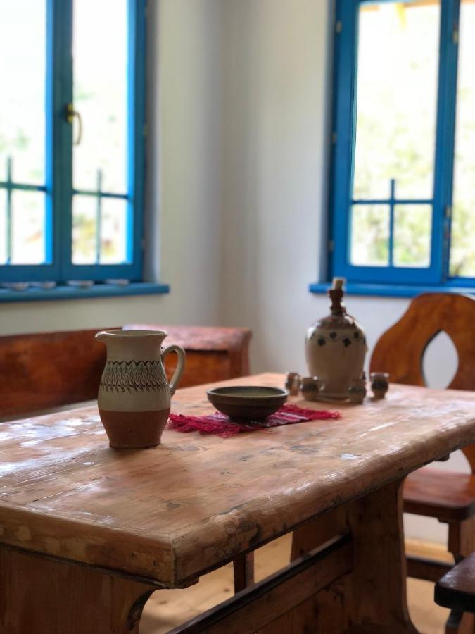 Băile Olăneşti Casa Albastraヴィラ エクステリア 写真