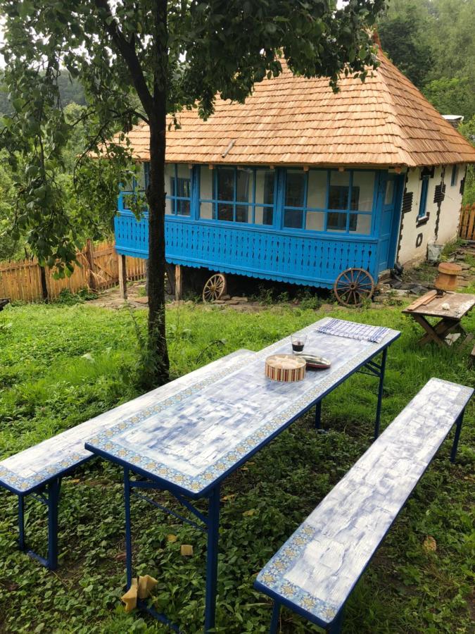 Băile Olăneşti Casa Albastraヴィラ エクステリア 写真