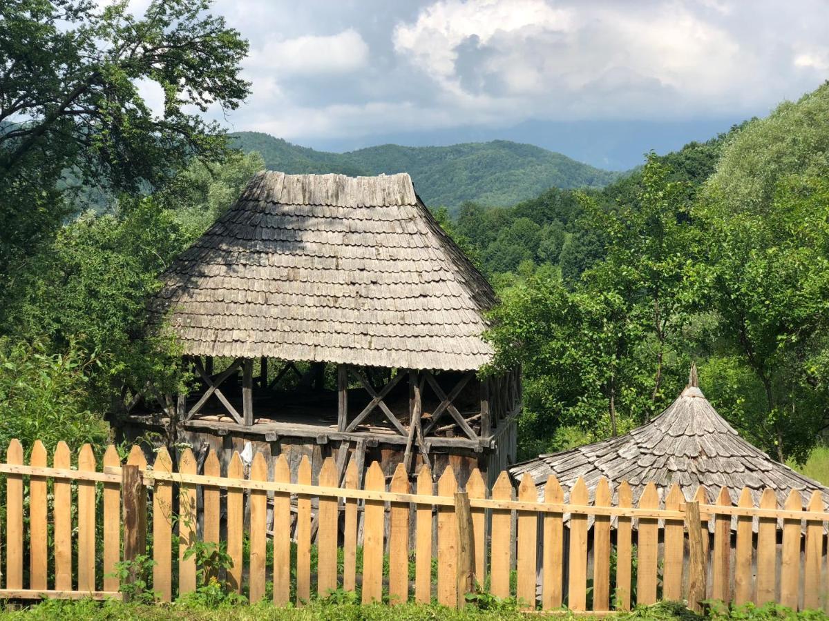 Băile Olăneşti Casa Albastraヴィラ エクステリア 写真