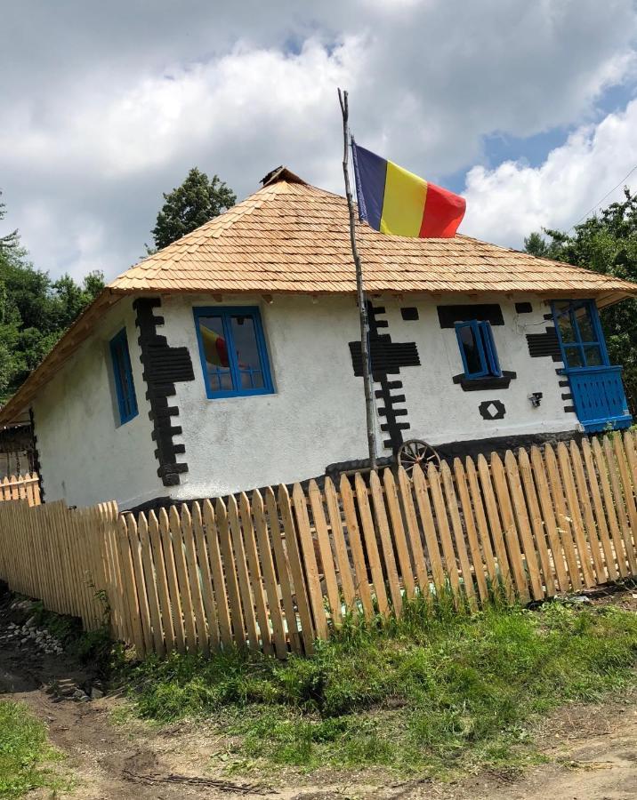 Băile Olăneşti Casa Albastraヴィラ エクステリア 写真