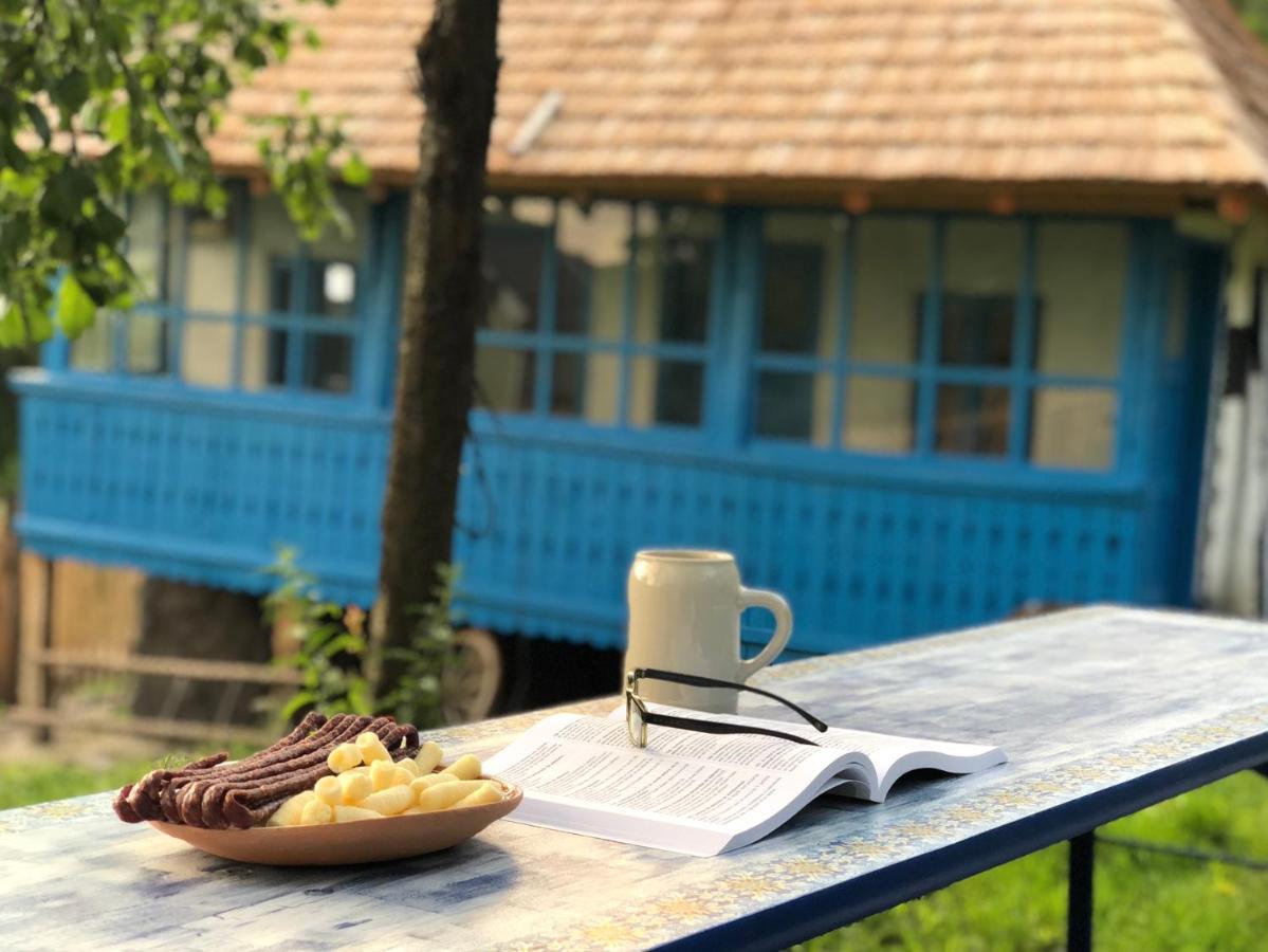 Băile Olăneşti Casa Albastraヴィラ エクステリア 写真