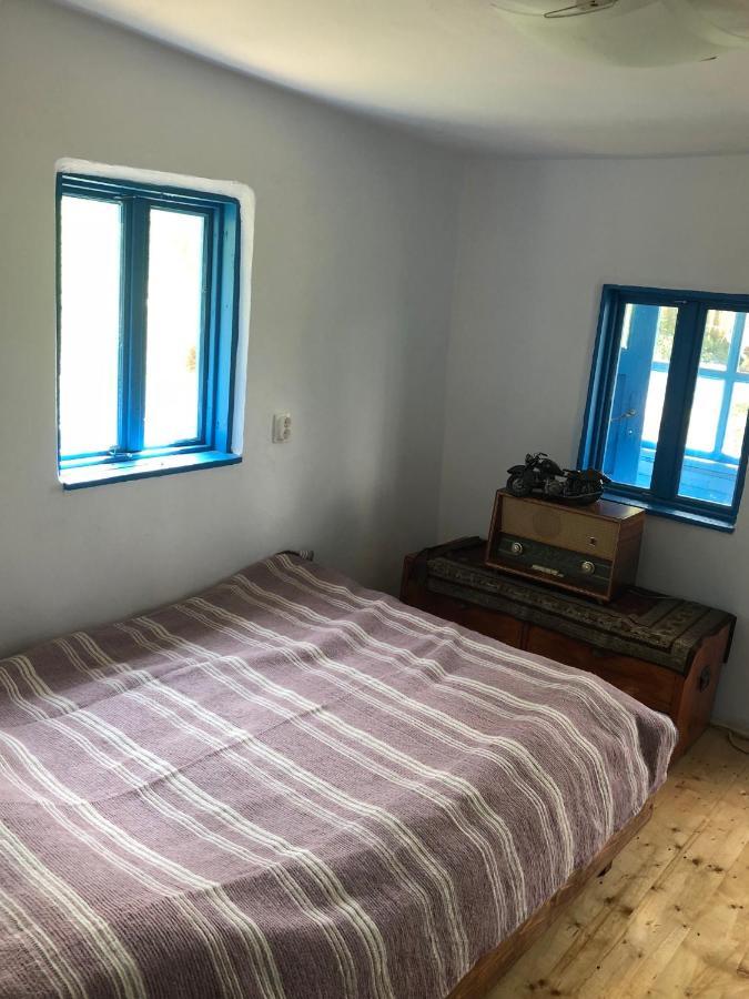 Băile Olăneşti Casa Albastraヴィラ エクステリア 写真