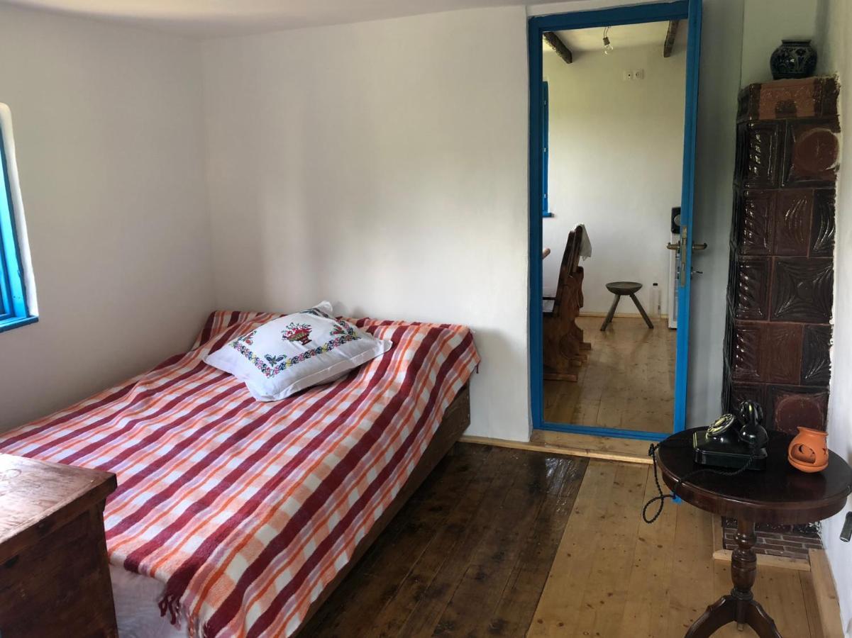 Băile Olăneşti Casa Albastraヴィラ エクステリア 写真