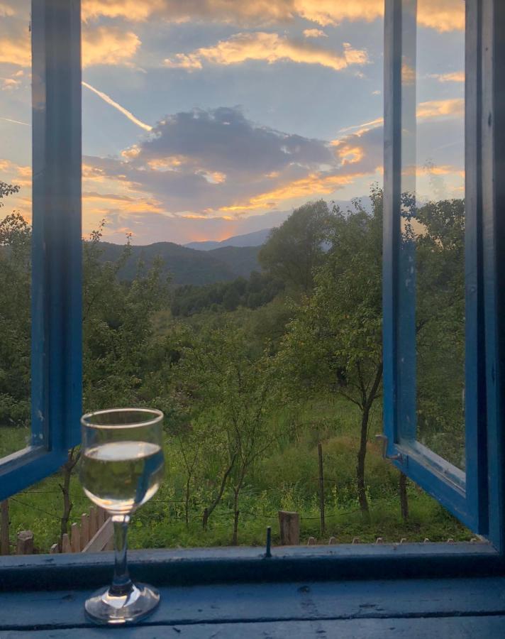 Băile Olăneşti Casa Albastraヴィラ エクステリア 写真