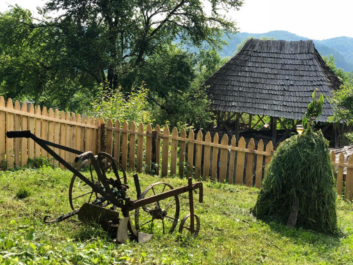 Băile Olăneşti Casa Albastraヴィラ エクステリア 写真