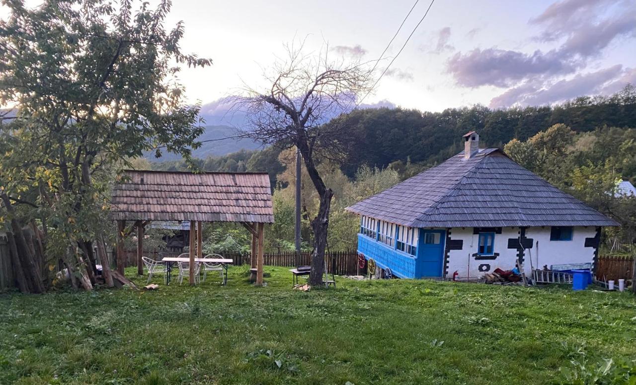 Băile Olăneşti Casa Albastraヴィラ エクステリア 写真