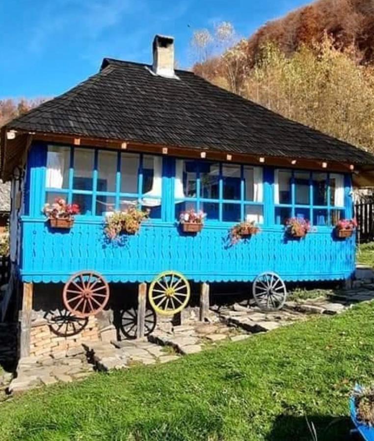 Băile Olăneşti Casa Albastraヴィラ エクステリア 写真